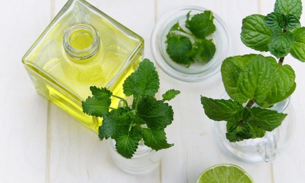 DIY Lip Oil: घर पर बनाएं हर्बल लिप ऑयल और पाएं सॉफ्ट लिप्स