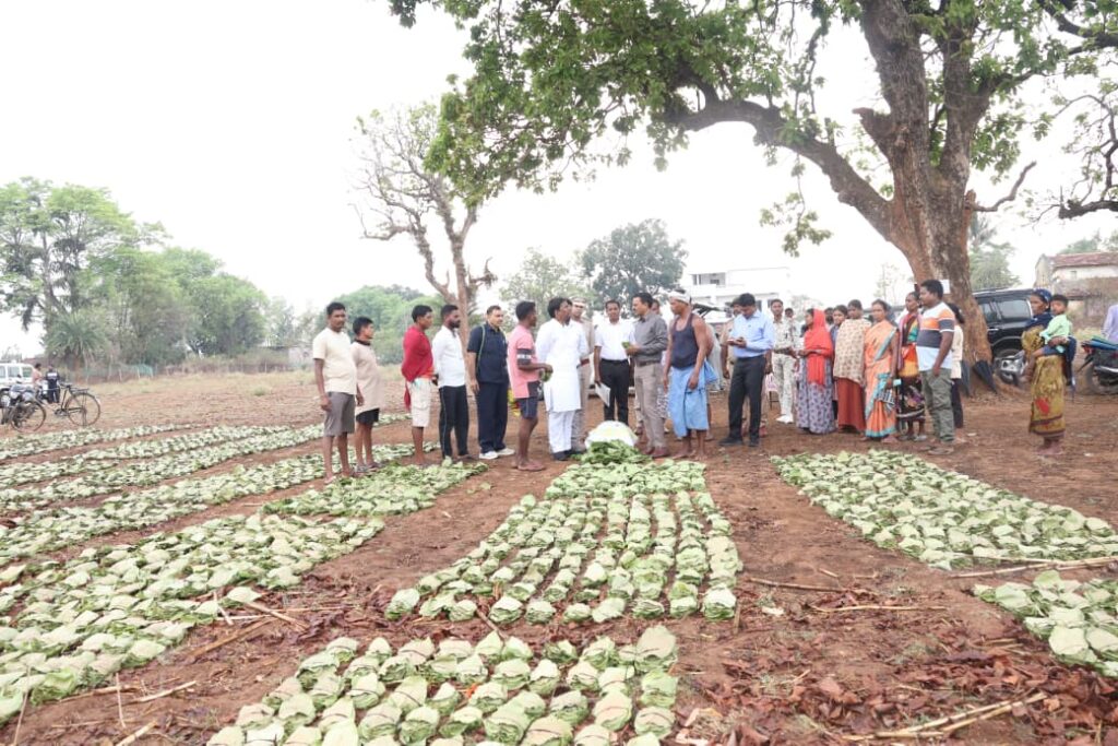 तेन्दूपत्ता संग्रहण में छत्तीसगढ़ ने बनाया नया रिकॉर्ड, अब तक 13.52 लाख मानक बोरा संग्रहित…
