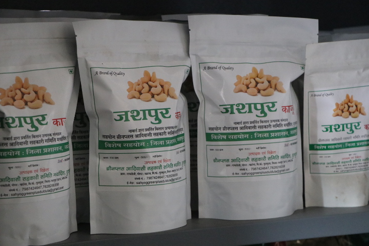जशपुर का काजू बना किसानों की समृद्धि की नई पहचान…