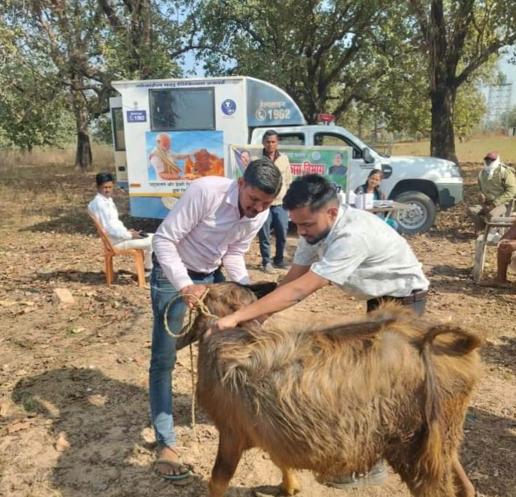 एक कॉल पर घर पहुंच रही पशु चिकित्सा सेवा, ग्रामीण पशुपालकों के लिए वरदान बनी मोबाइल यूनिट…