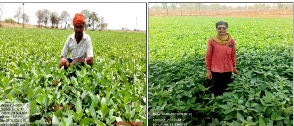 ग्रीष्मकालीन उड़द की खेती से आत्मनिर्भरता की ओर बढ़े कदम…