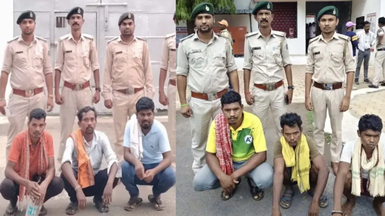 उदंती-सीतानदी टाइगर रिजर्व में वन विभाग की बड़ी कार्रवाई, अवैध लकड़ी और शिकार के उपकरण बरामद, 6 तस्कर गिरफ्तार