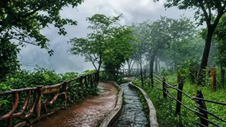 CG Tourism: मानसून में जन्नत बना टाटामारी, हरियाली और बादलों के बीच उमड़ रहे सैलानी