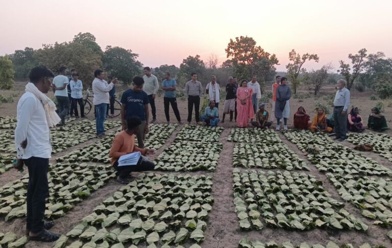 रायपुर : साय सरकार के सुशासन में तेन्दूपत्ता संग्राहकों को मिली आर्थिक मजबूती, 10,160 हितग्राहियों के खातों में पहुँची 1.39 करोड़ रुपये से अधिक की बोनस राशि