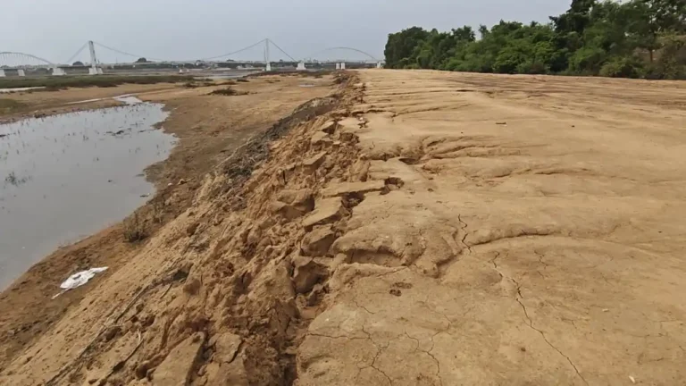 तालाब की मिट्टी से बन रही 24 करोड़ की सड़क, उठे गुणवत्ता पर सवाल; राजिम में दो विभागों के तालमेल पर घिरा निर्माण कार्य