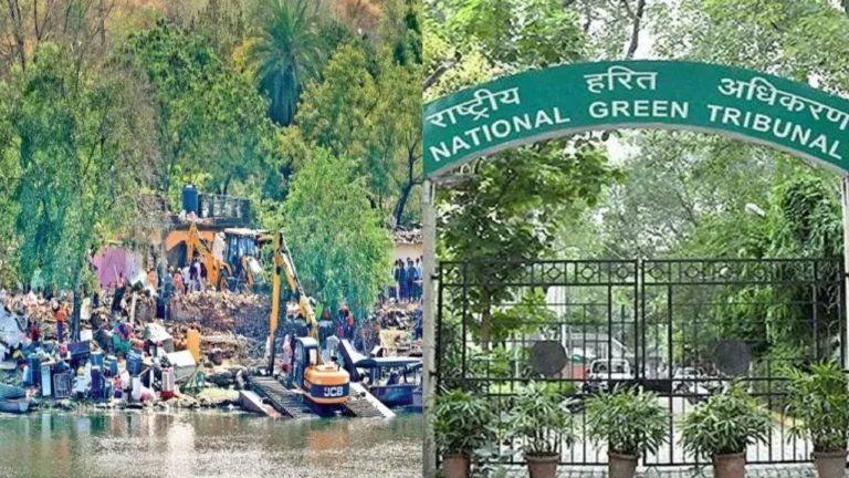 भोज वेटलैंड पर एनजीटी का सख्त रुख, तीन सप्ताह में हटाने होंगे सभी अवैध कब्जे