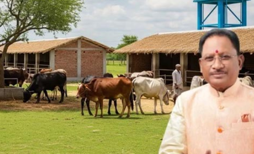 रायुपर : छत्तीसगढ़ में निराश्रित मवेशियों के संरक्षण के लिए बड़ी पहल