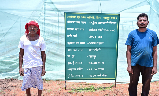 रायपुर : संरक्षित खेती और उद्यानिकी से जशपुर के किसान अनारथ साय ने लिखी आत्मनिर्भरता की नई कहानी