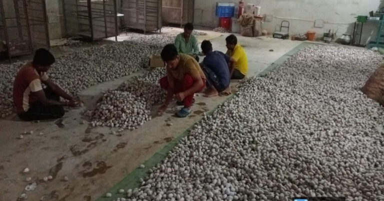 वनांचल में रेशम की चमक, नारायणपुर में टसर योजना से संवर रही ग्रामीणों की तकदीर…..