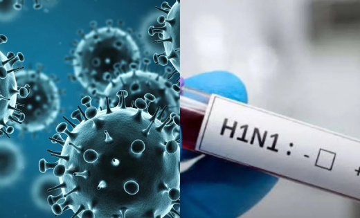 Swine Flu Case: उज्जैन में स्वाइन फ्लू से दूसरी मौत, एक महीने में दो मरीजों की गई जान