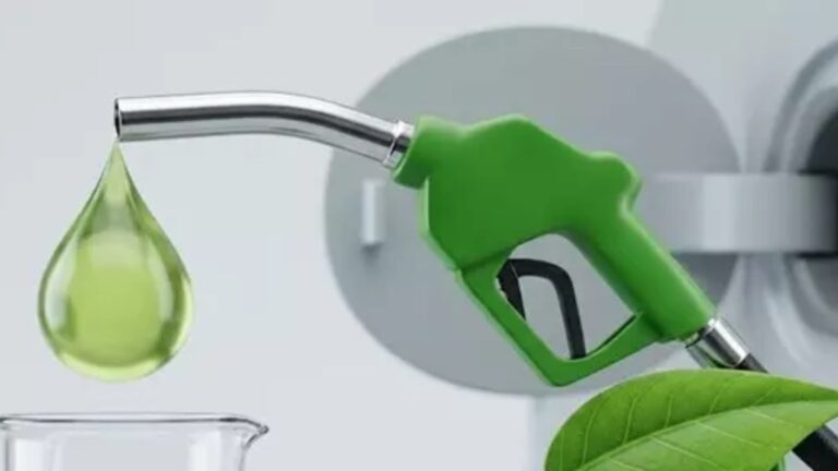 चीनी की सप्लाई बचाने के लिए सरकार का बड़ा फैसला, गन्ने से इथेनॉल बनाने पर लगी रोक, जानें क्या होगा असर